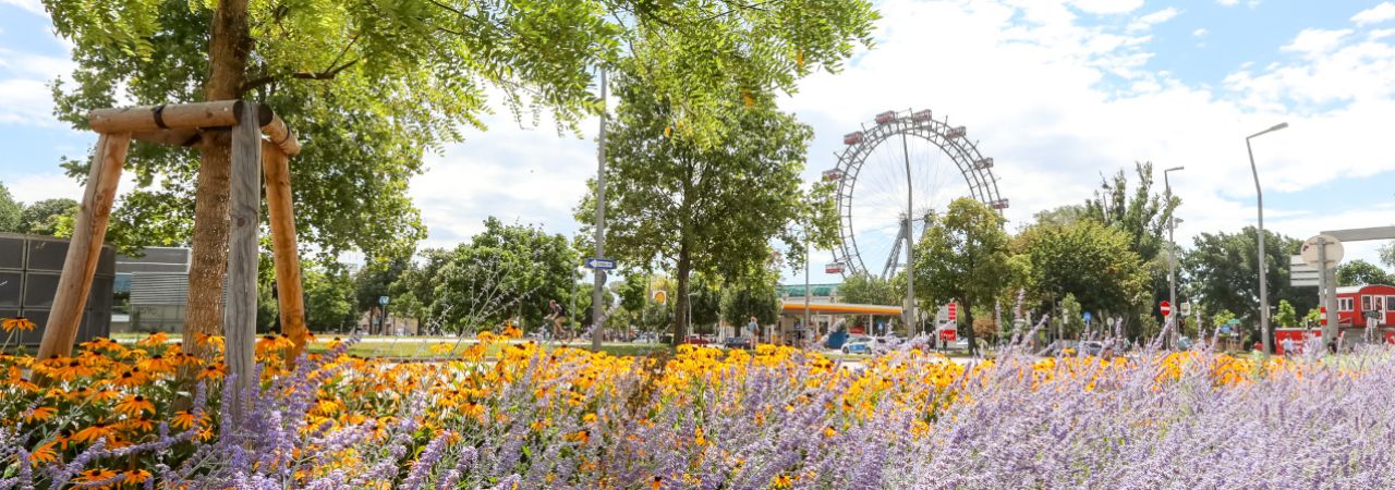 Grünfläche am Praterstern, im Hintergrund das Riesenrad